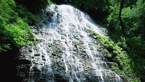 高端高标准电子